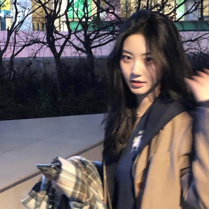 西尔维娅传封面